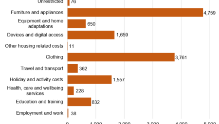 A bar chart of Buttle UK's grants showing the number of awards by grant purpose